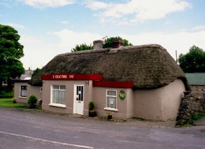 J48-THATCH-IN-BALLYLOOBY